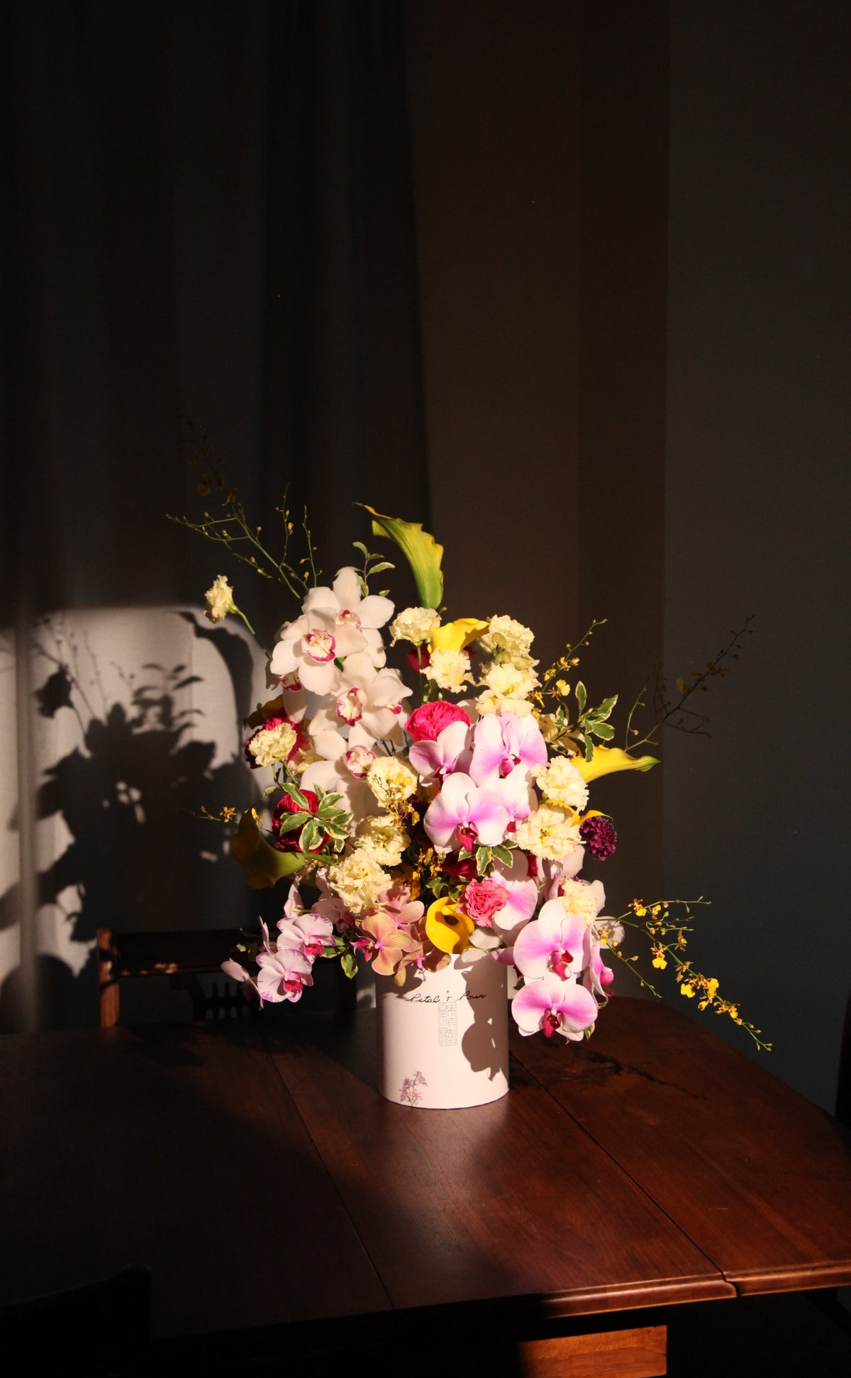 Orchid Paradise