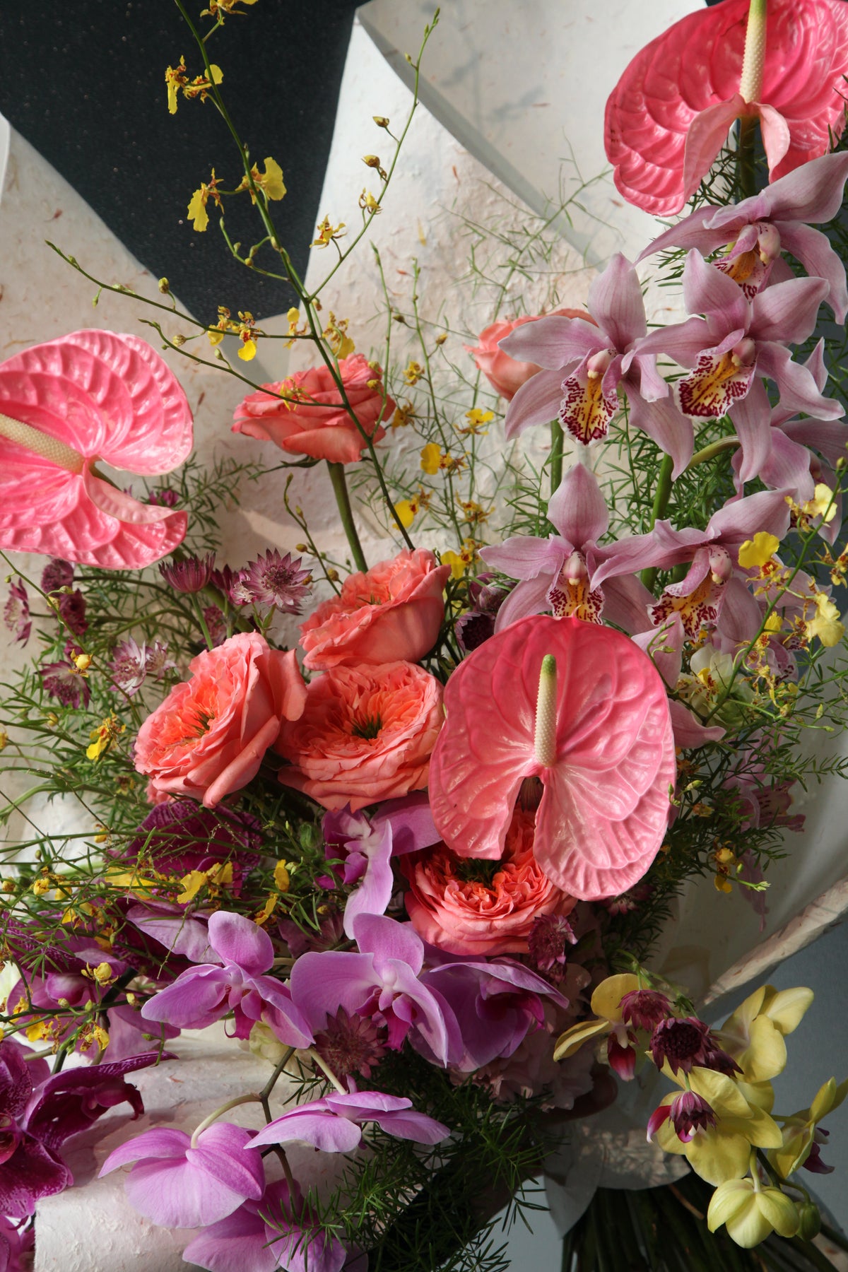 A Coterie of Orchids: Noontide