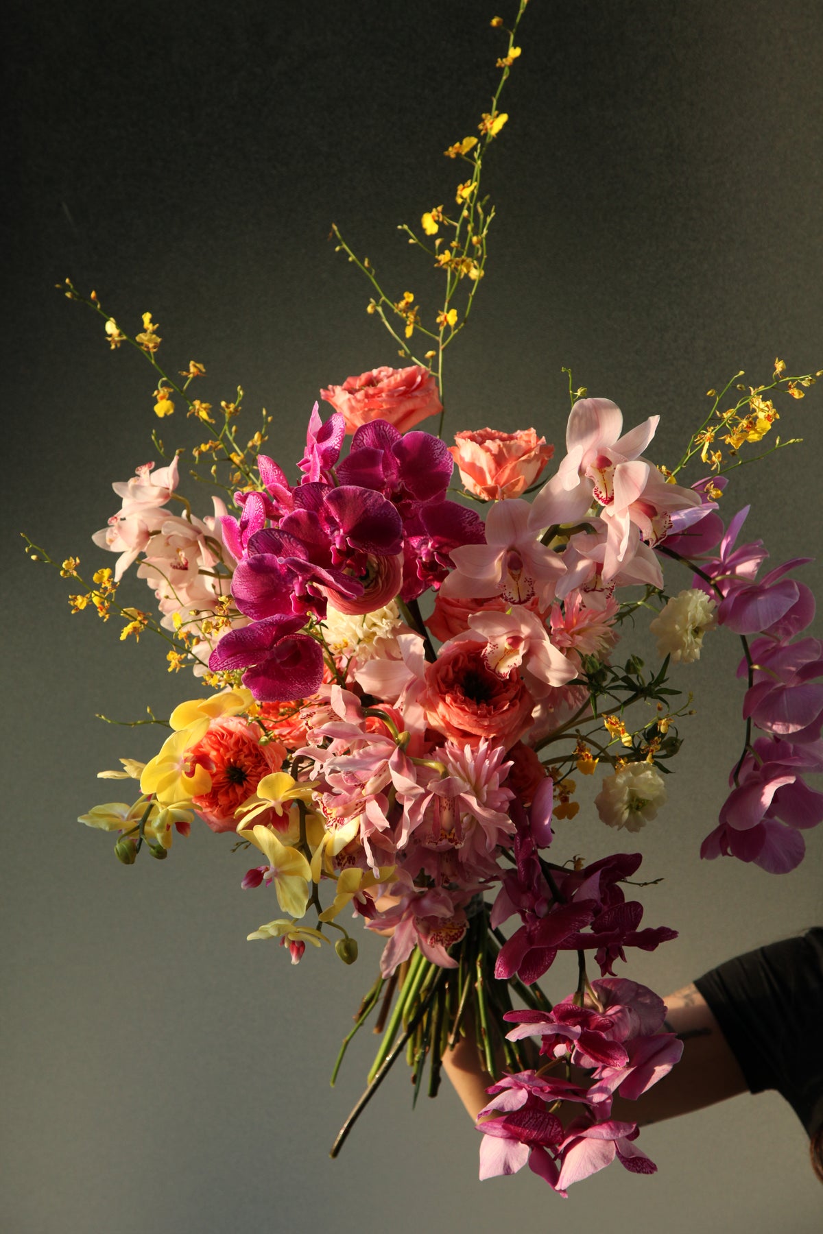 A Coterie of Orchids: Sunset