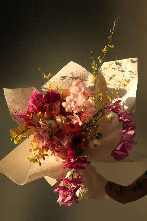 A Coterie of Orchids: Sunset