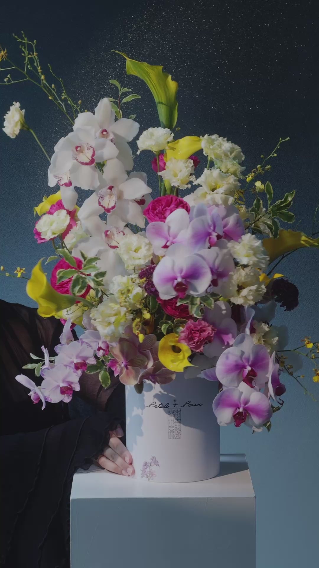 Orchid Paradise